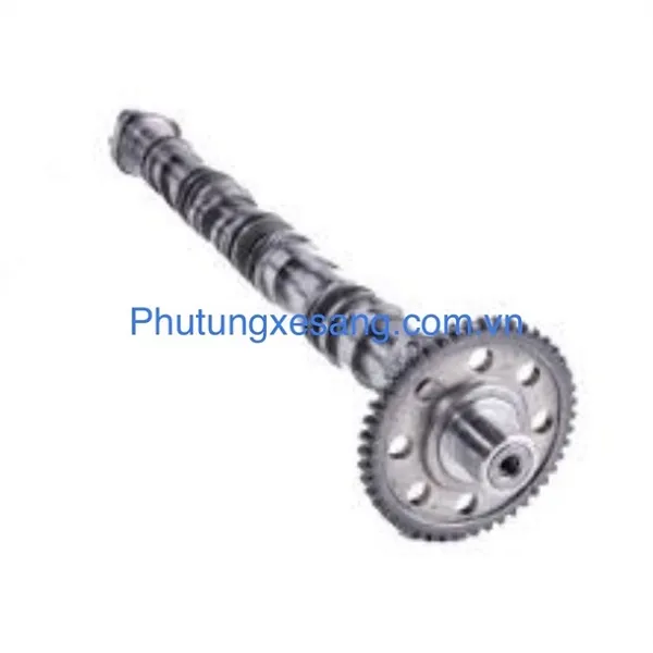 Trục cam xả Audi A3 A4 A5 A6 Q5-06H109022BD-06H109022AK