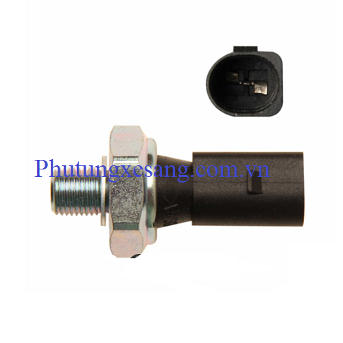 Cảm biến áp xuất dầu Audi A4 A6 A8 Q7 2.0 (2.3-2.8 Bar) 2015-2019-06E919081F