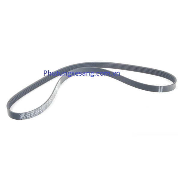 Dây curoa tổng Audi A6 A8-079903137T