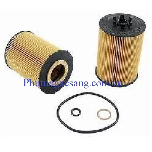 Lọc dầu động cơ BMW X5 550i 650i 750i 760i E70 E60 E63 E64 E65 E66-11427521008, 11427542021