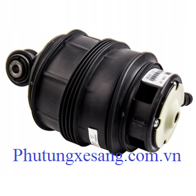 Bóng hơi giảm sóc sau Mercedes CLS500 CLS550 E320 E500 1994-2011 (bên phải)-A2113201625